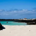 Loti Cotillo
