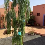 Ven A Las Mil Y Una Noches Cerca De Corralejo .