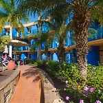 Bluesea Jandia Luz