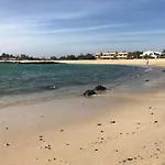 Lightbooking Los Lagos El Cotillo