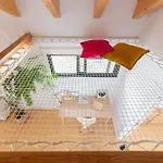 Loft In Corralejo