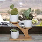 Casa Vista Oasis En Fuerteventura