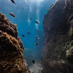 La Vida Al Sol