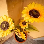 Casa De Los Girasoles