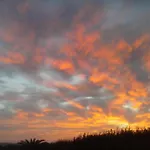Vivienda Gorrion