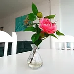 Green Waves Apartment