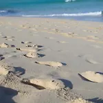 Appartamento Sol Y Playa A El Cotillo.