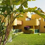 Amarilla Sol
