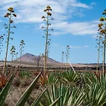 Casa Cactus