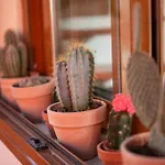 Casa Calderon Hondo