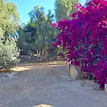Oasis San Martin El Cotillo