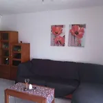 Casa Hibiscus Sehr Schoenes Appartment Zum Relaxen