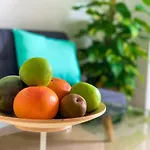 Hibiscus Studio