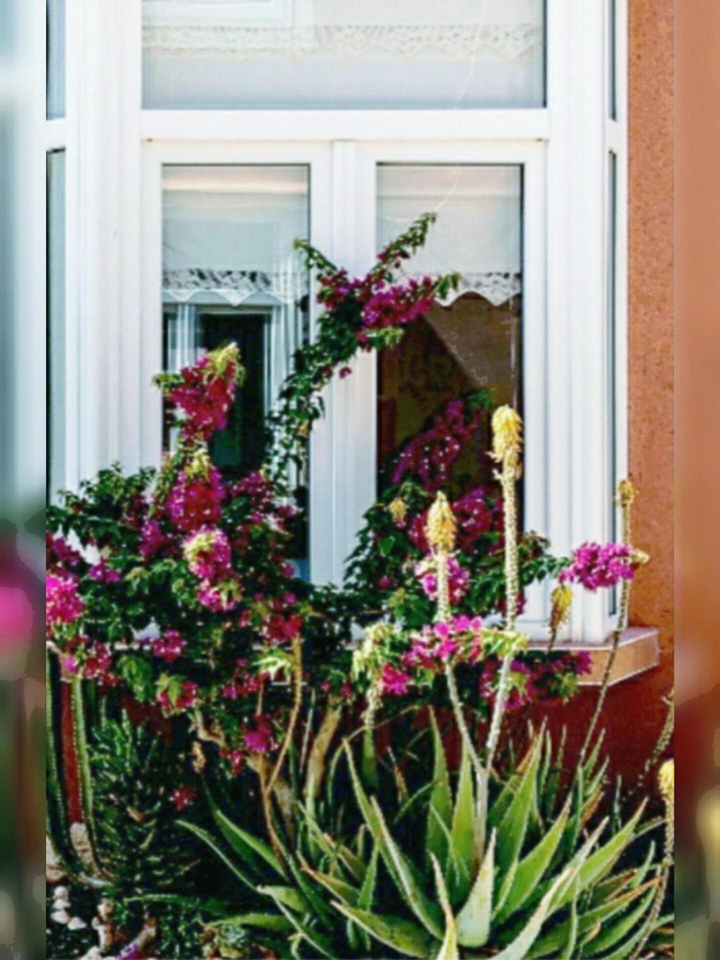 Διαμέρισμα Duplex Aloe *