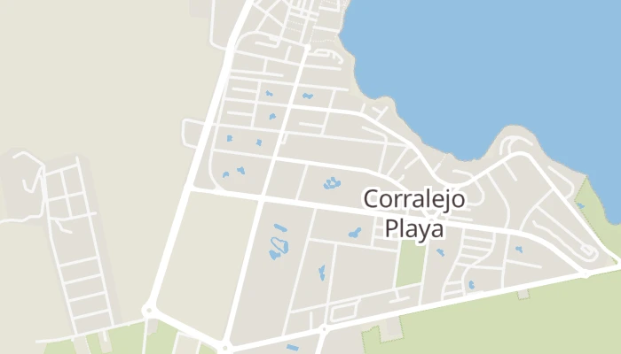 Χάρτης